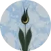 Fırçalar (1)