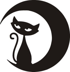 Ayışığındaki Kedi - 2