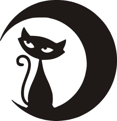Ayışığındaki Kedi - 2