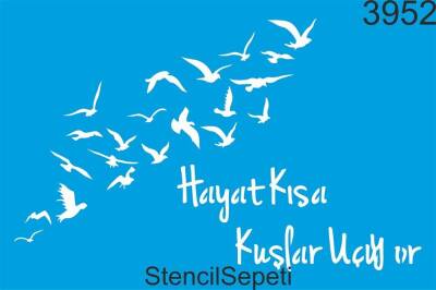 Hayat Kısa - 1