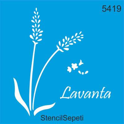 Lavanta - 1
