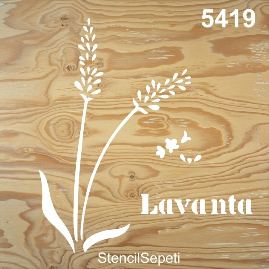 Lavanta - 2
