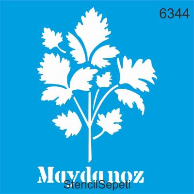 Maydanoz - 1