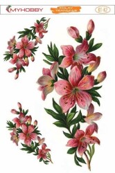 My Hobby KKT-002 - 17x25cm - MyHobby