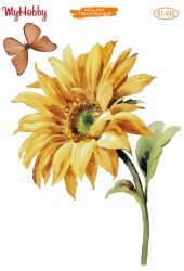 My Hobby KKT-040 - 17x25cm - MyHobby