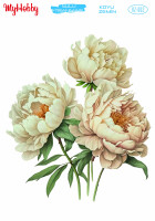 My Hobby Koyu Zemin - 002 25x35cm - MyHobby