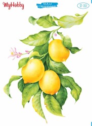 My Hobby ST-351 - 25x35cm - MyHobby