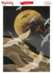 My Hobby TT-073 - 25x35cm - MyHobby