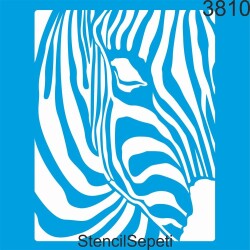 Zebra - StencilSepeti
